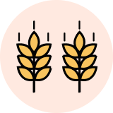 Farm