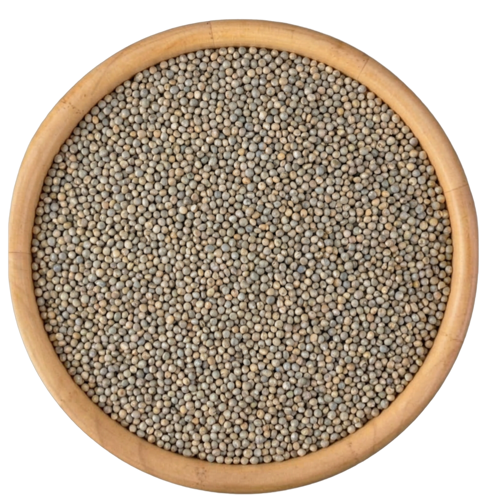 Bajra