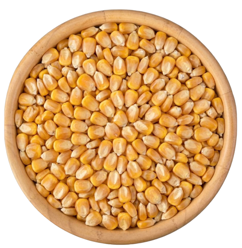 Makka