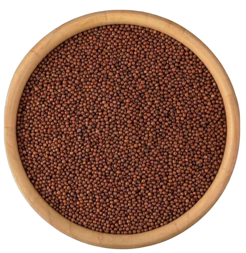 Ragi