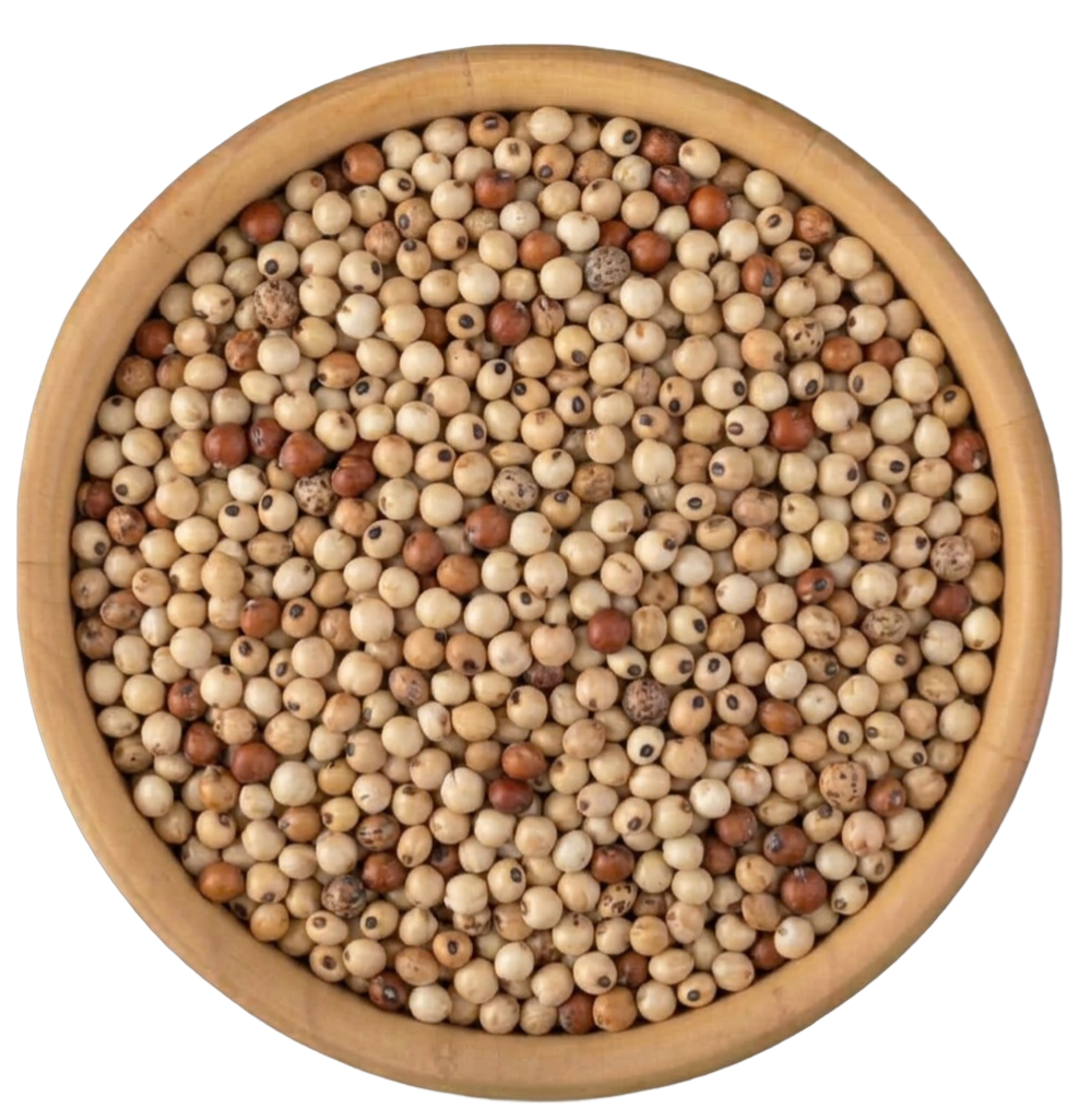 Jowar